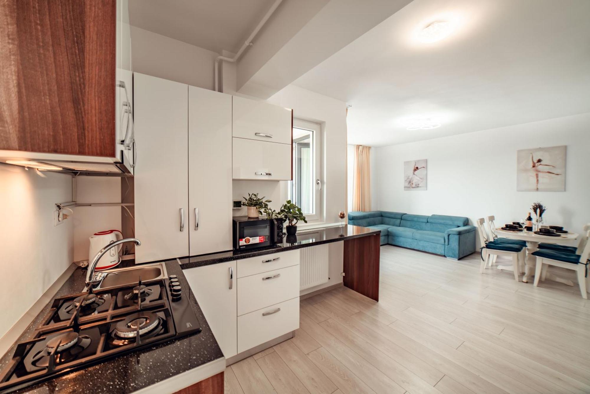 Cozycollection Apartments At Q Residence #6 이아시 외부 사진